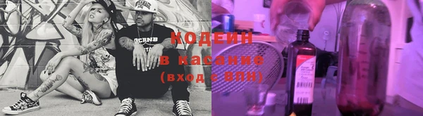 гашик Алексеевка