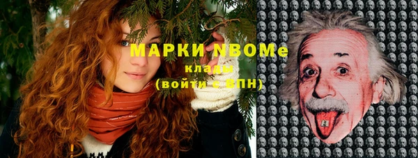 шишки Покров