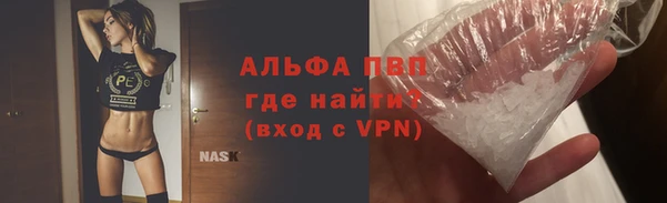 гашик Алексеевка