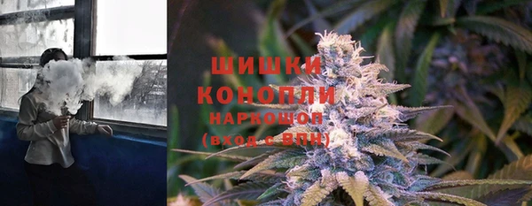 прущие крисы Арсеньев