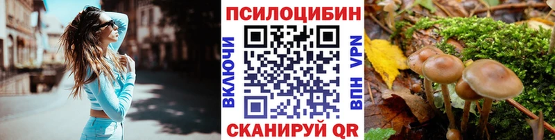 Псилоцибиновые грибы Psilocybe  KRAKEN ссылка  Кирс 